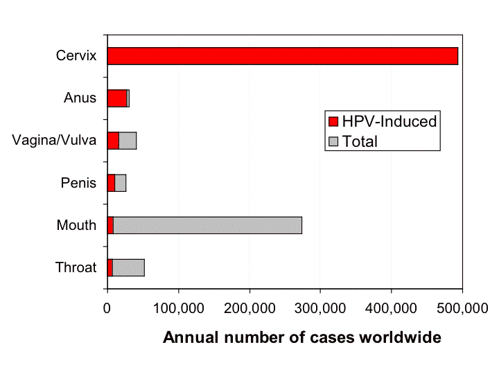 Graph showing the fraction of cancers estimated to be induced by HPV (from 2006).